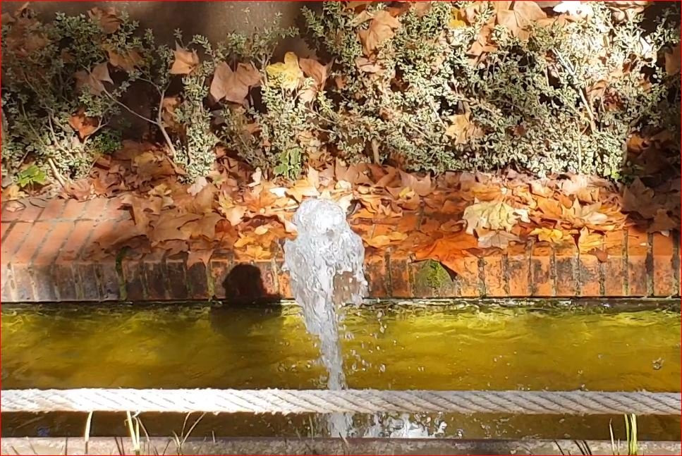 Parque de La Media Luna-潘普洛纳必去景点