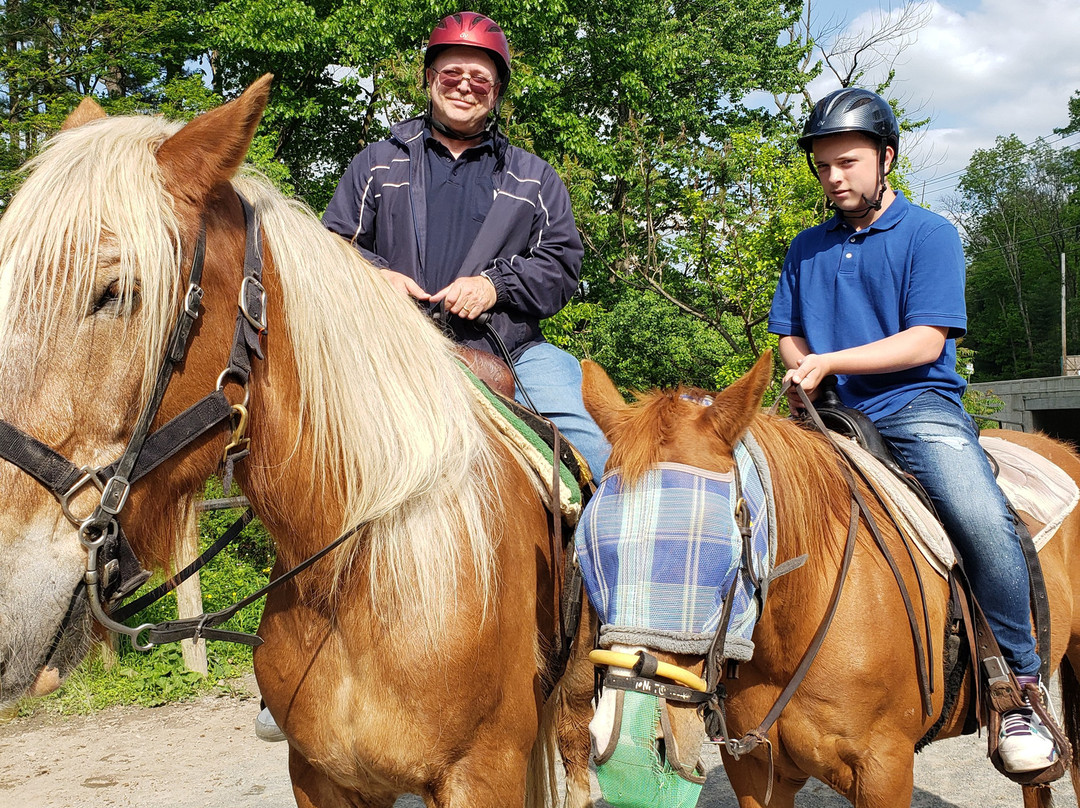 Mountain Creek Riding Stable景点图片