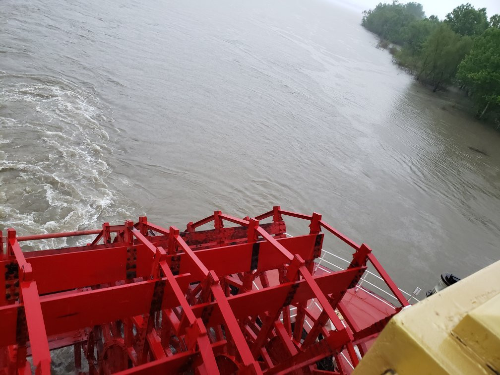 African Queen Steamboat Tour-新瓦雅塔必去景点