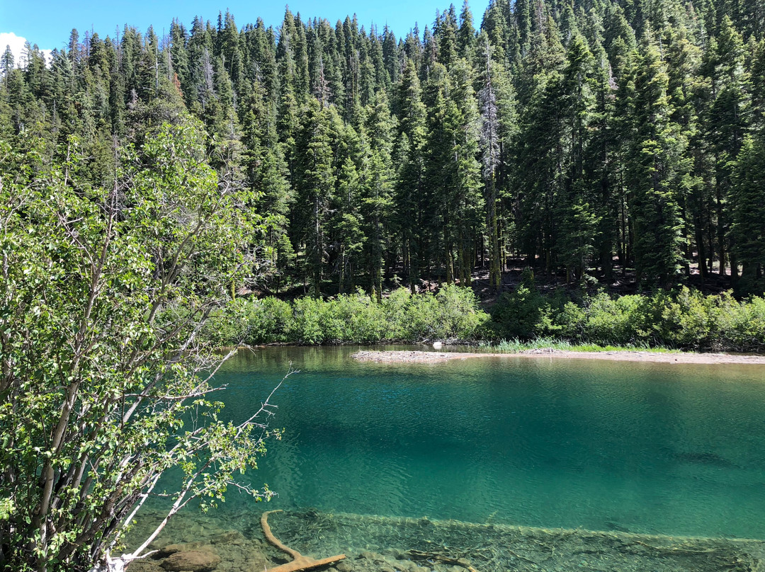 Truckee River Bike Trail景点图片