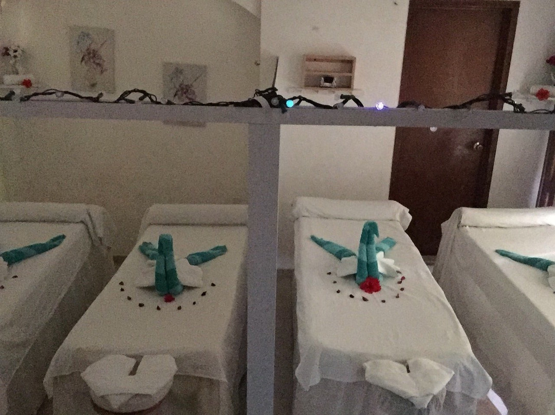 Aqua Marine Health & Spirit-普拉亚德尔卡曼必去景点