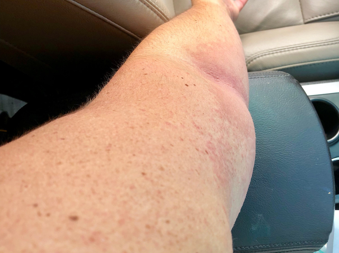 Best Western Plus Stadium Inn主图