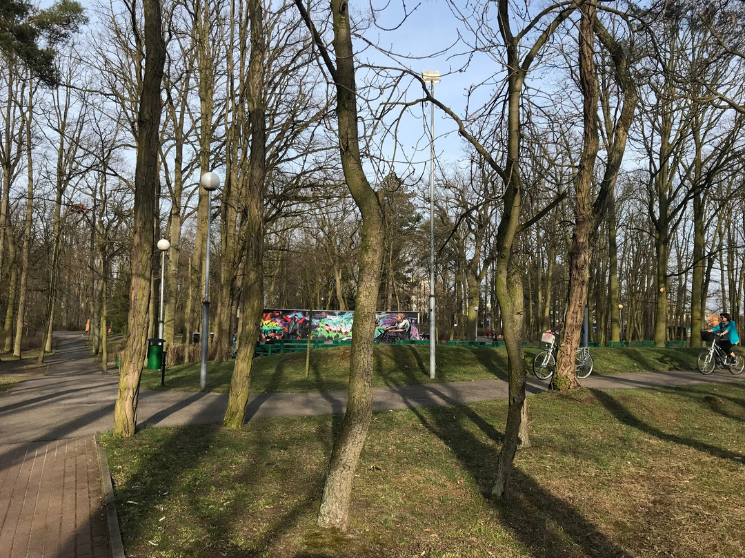 Fryderyk Chopin City Park景点图片