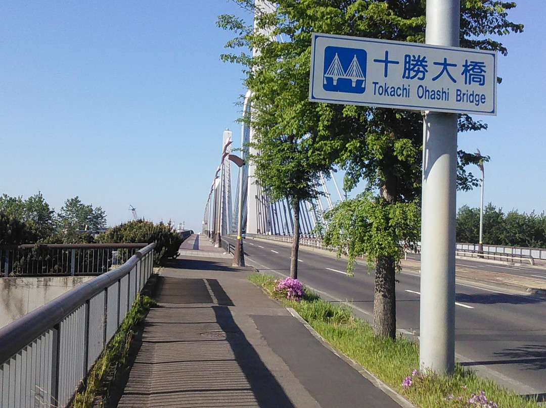 Tokachi Ohashi Bridge景点图片
