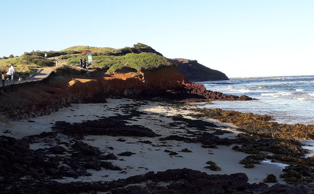 Dee Why Headland walk景点图片