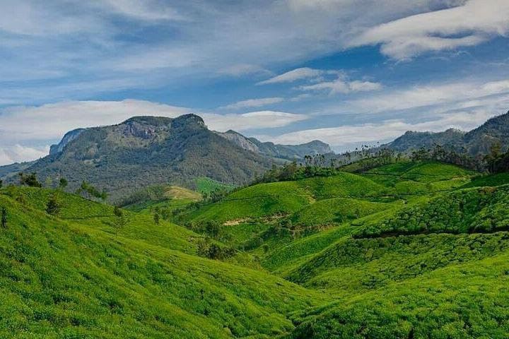 Kerala Travel Package景点图片