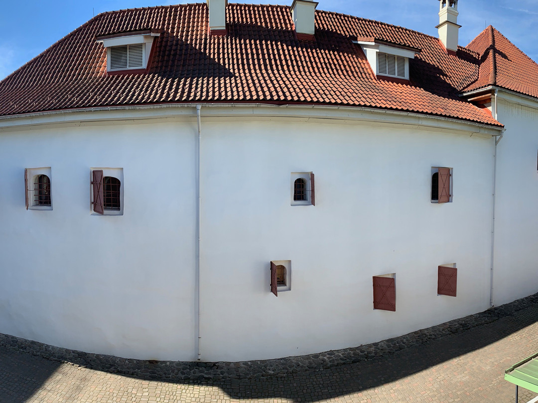 Hotel Dvor Podznoeva主图