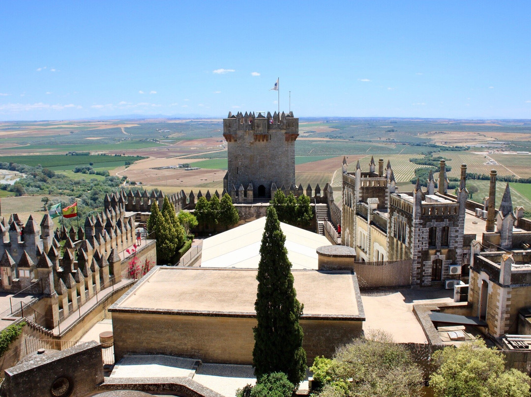 Castillo de Almodovar景点图片