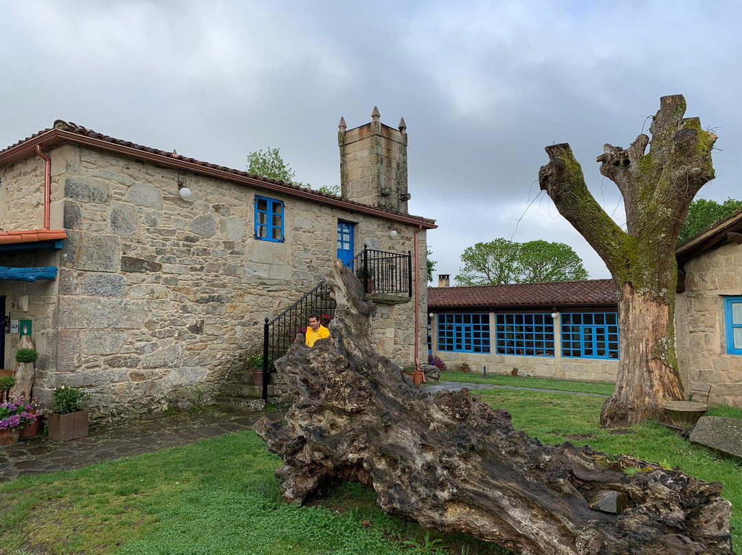 A Parada das Bestas主图