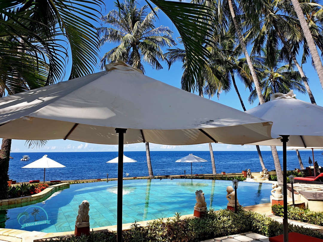 Bali Villa Dive Resort主图