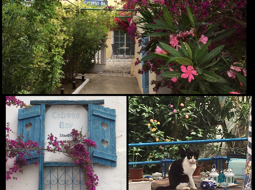 Calypso Bay主图