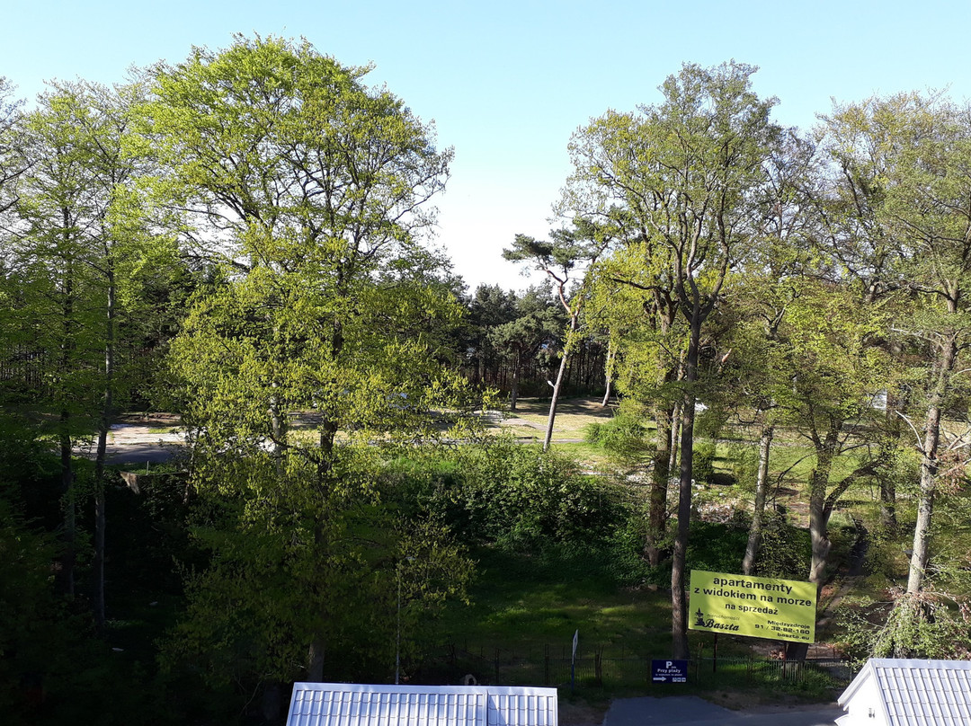 Baginski & Chabinka SPA主图