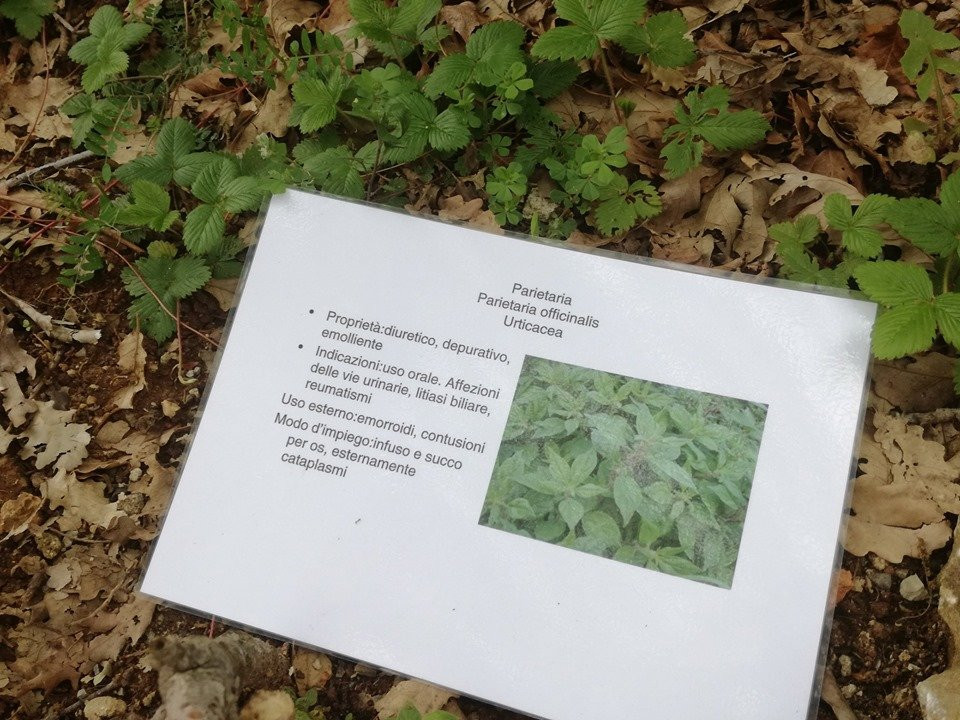 Orto Botanico Arcadia-Grisolia必去景点