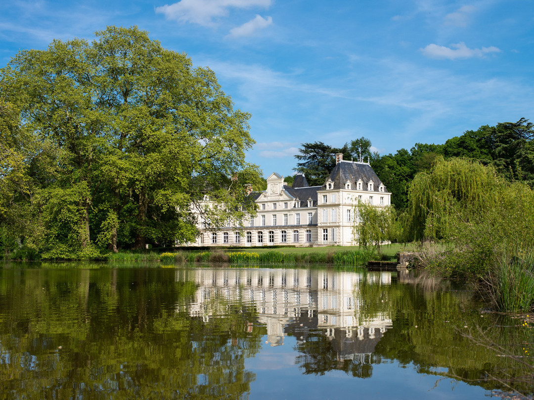Chateau de la Buronniere主图