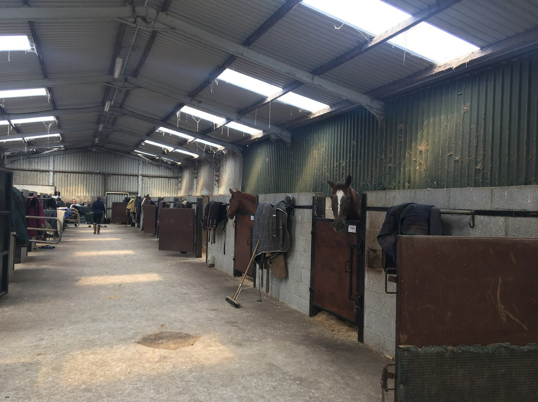 Clonshire Equestrian Centre-利默里克必去景点