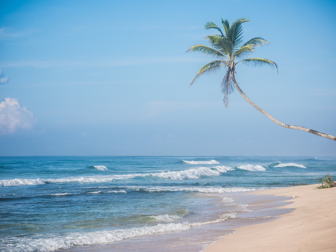 Habaraduwa House主图