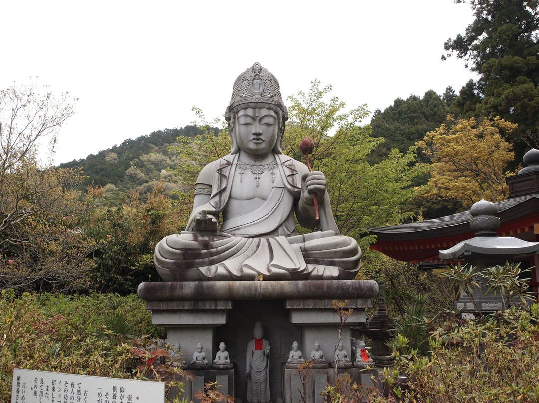 Tsubosaka-dera Megane Kuyo Kanon景点图片