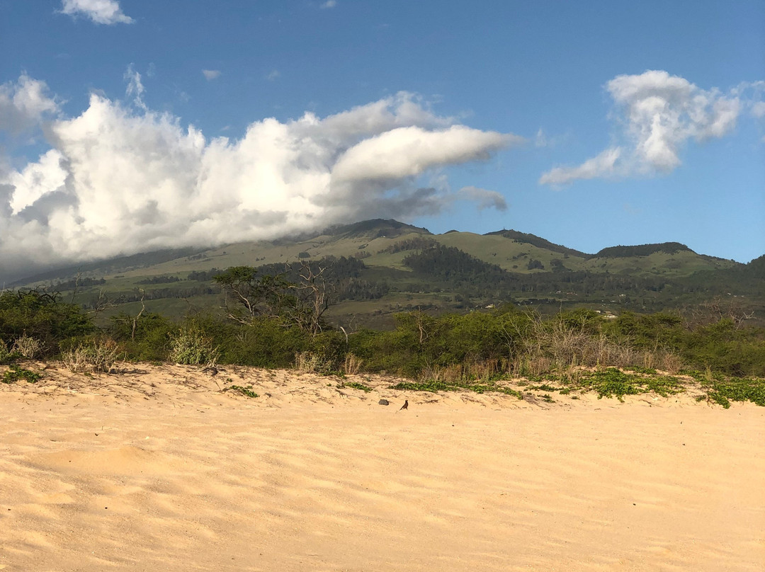 Pa'ako Beach (Secret Cove)-维雷亚必去景点