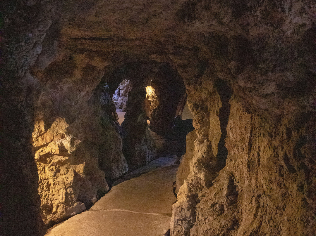 Dewstow Gardens and Grottoes景点图片