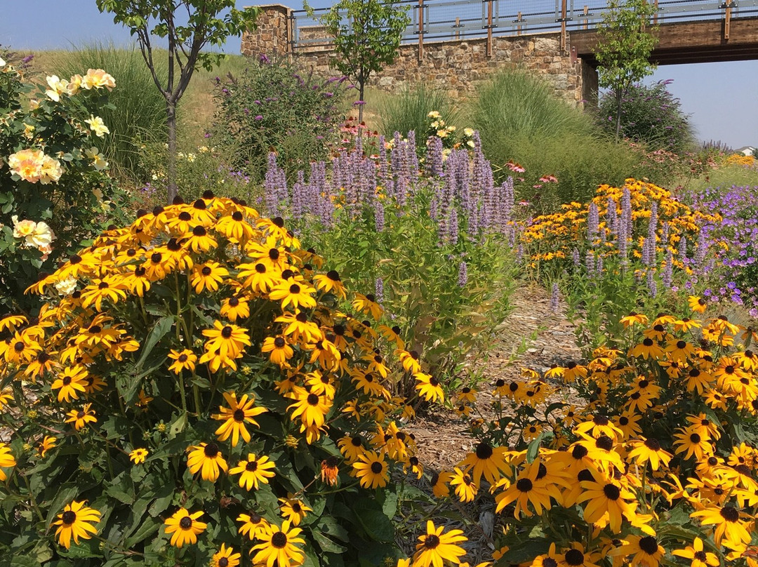 Mehaffey Park-拉夫兰必去景点