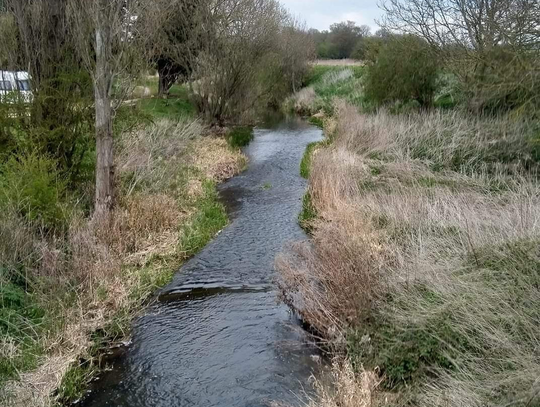 Cresslands