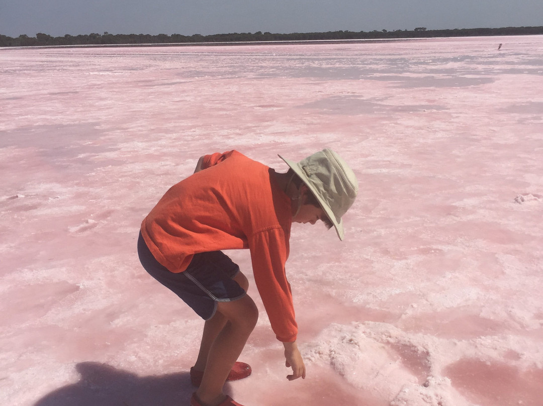Pink Lake景点图片