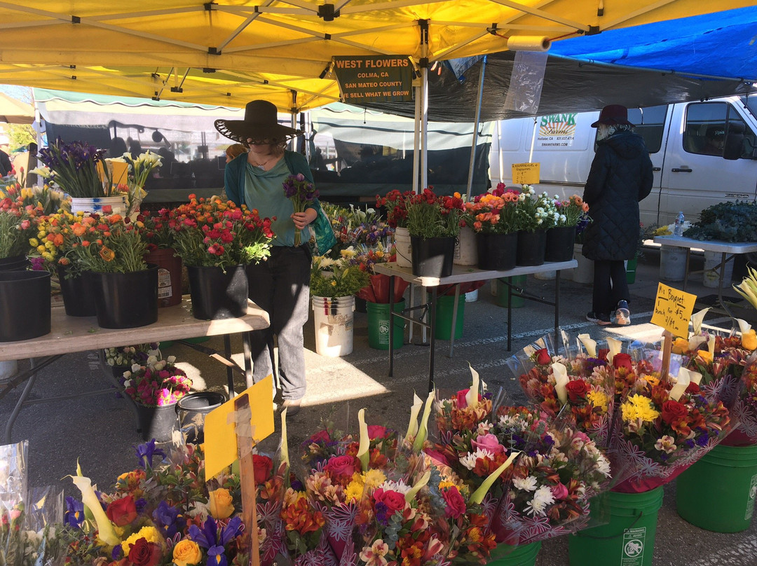 Mountain View Farmers Market-山景城必去景点