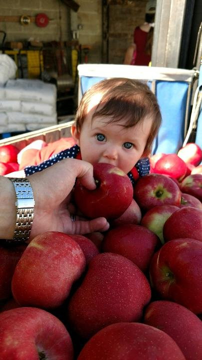 Hurd's Family Farm-Modena必去景点