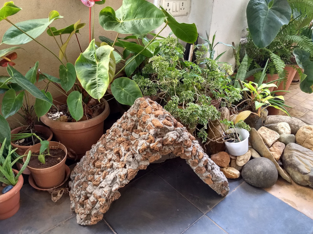 Ocean Heights Home Stay