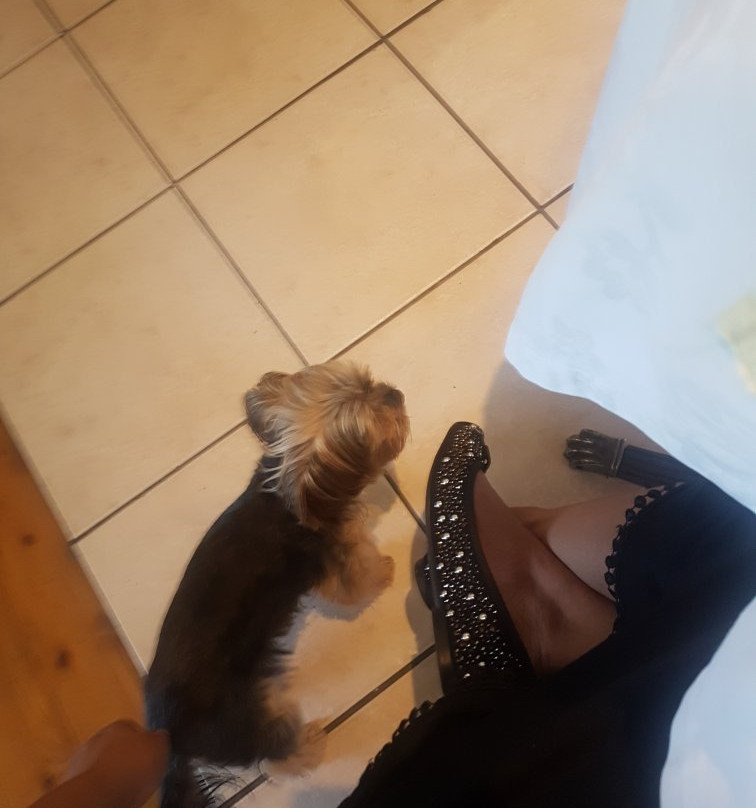 Greenwood Villa主图