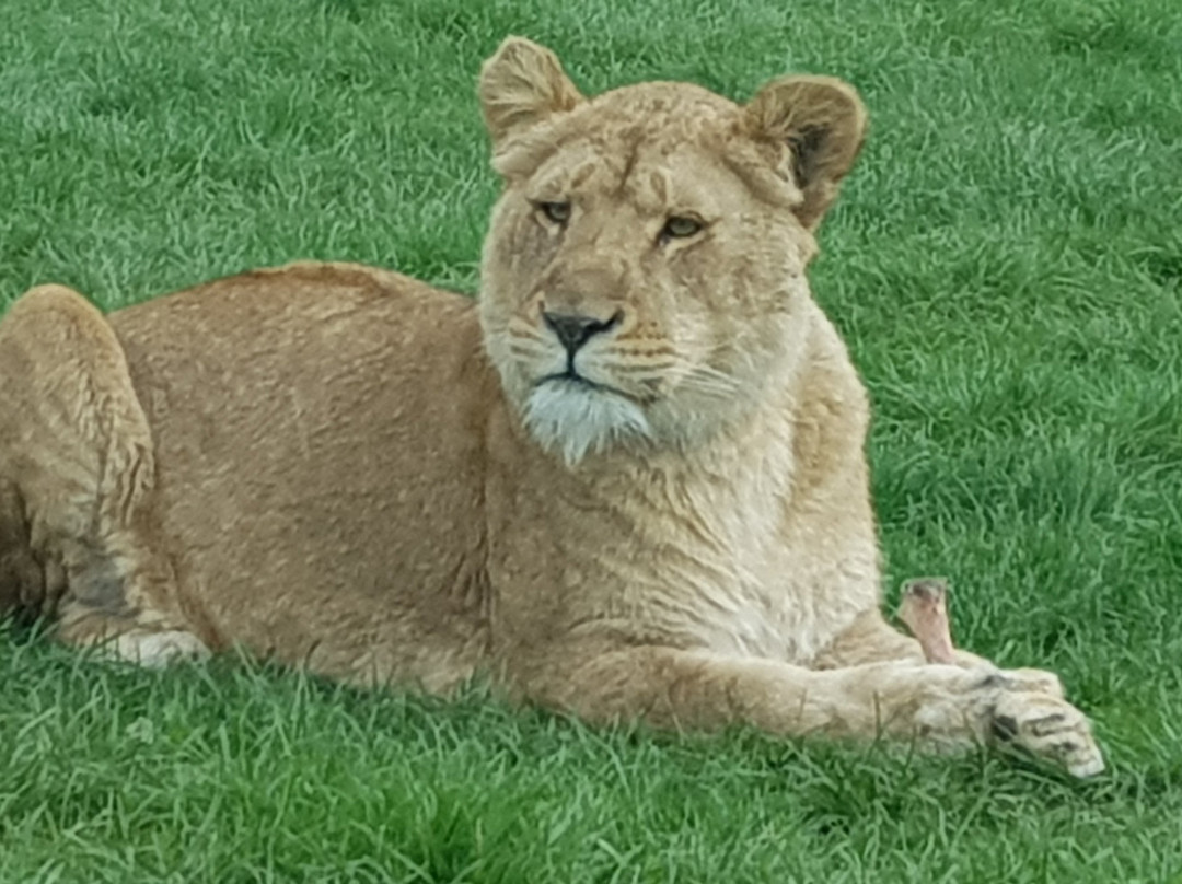Longleat Estate-Murchison必去景点
