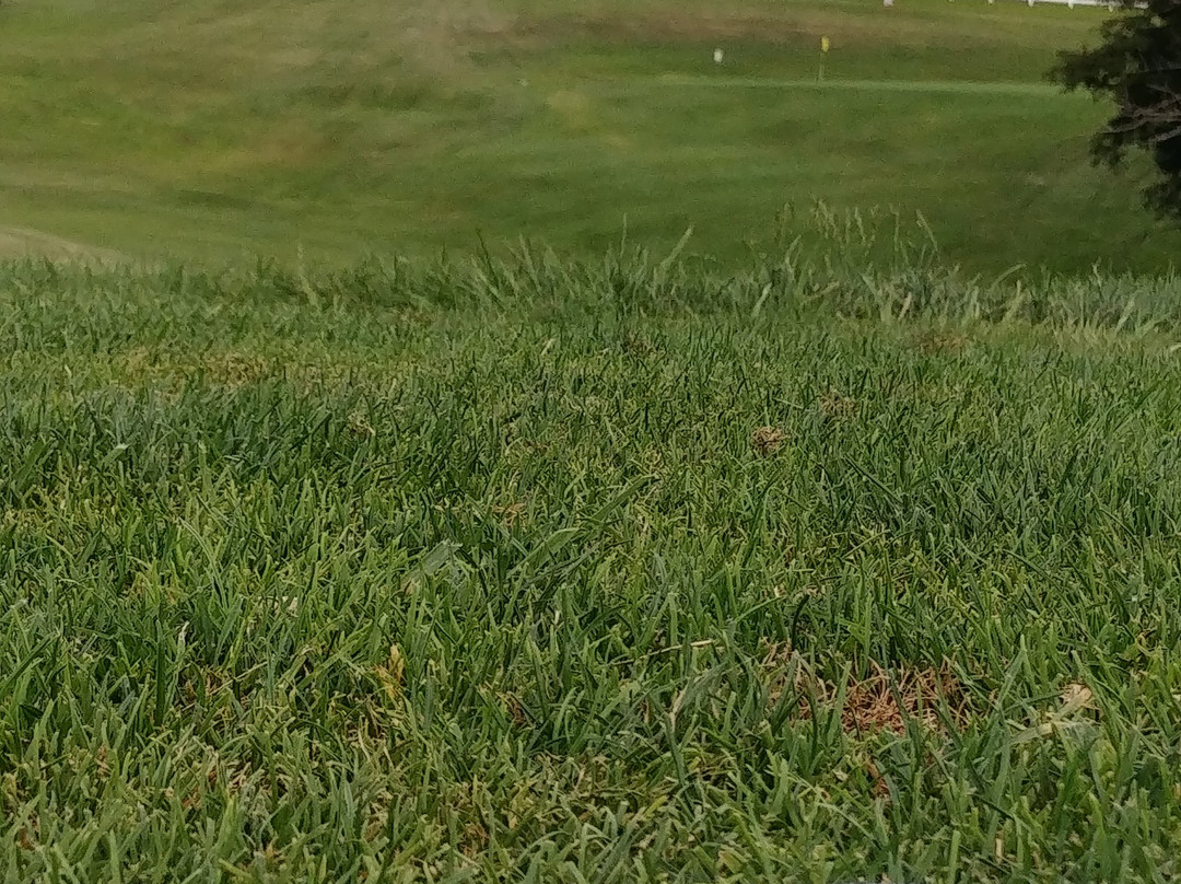 Brooke Hills Park-Wellsburg必去景点