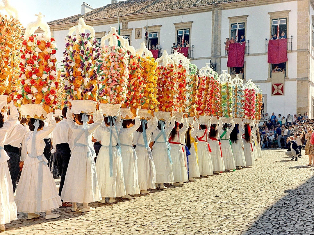 Évora Cultural Experience景点图片