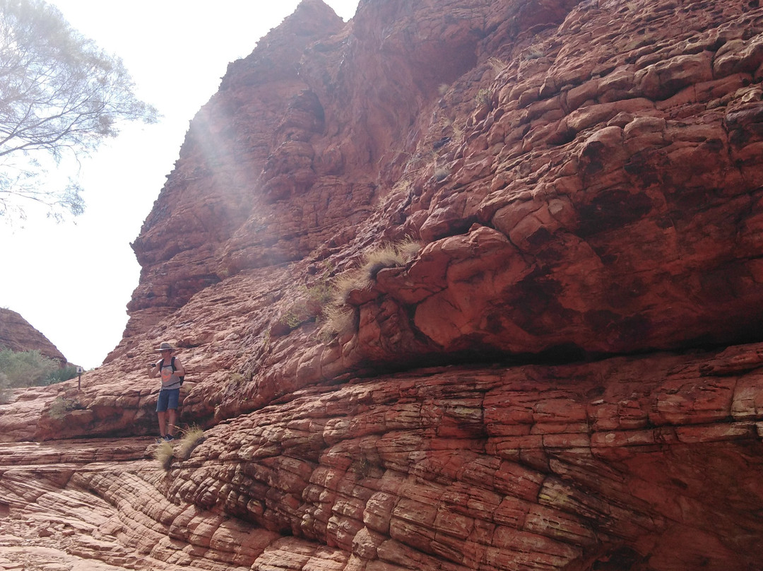 Watarrka National Park景点图片