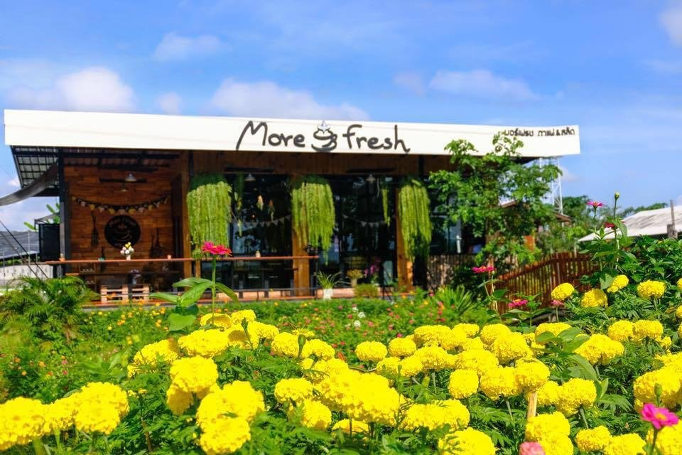 曼提餐馆和美食-More Fresh Coffee&Salads