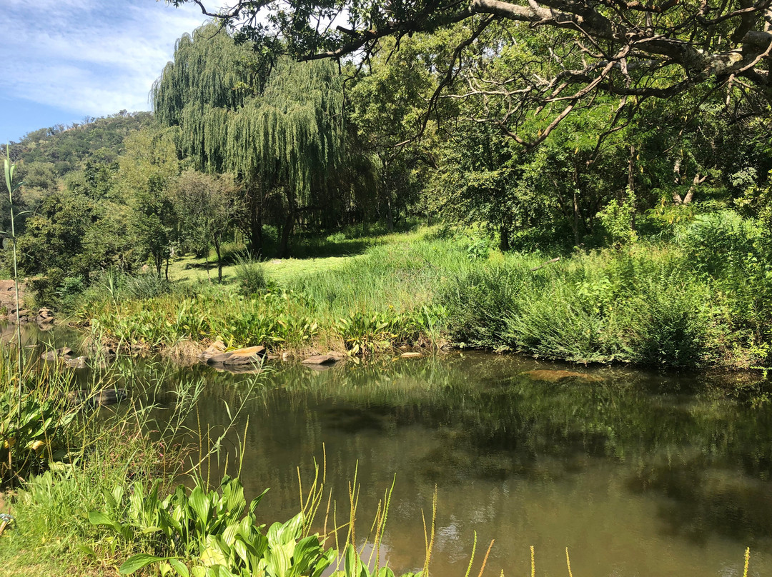 Hornbill Lodge主图