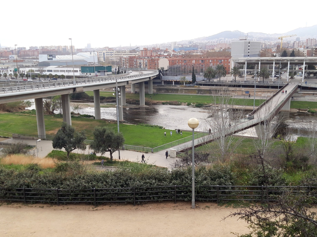 Parc del Molinet景点图片