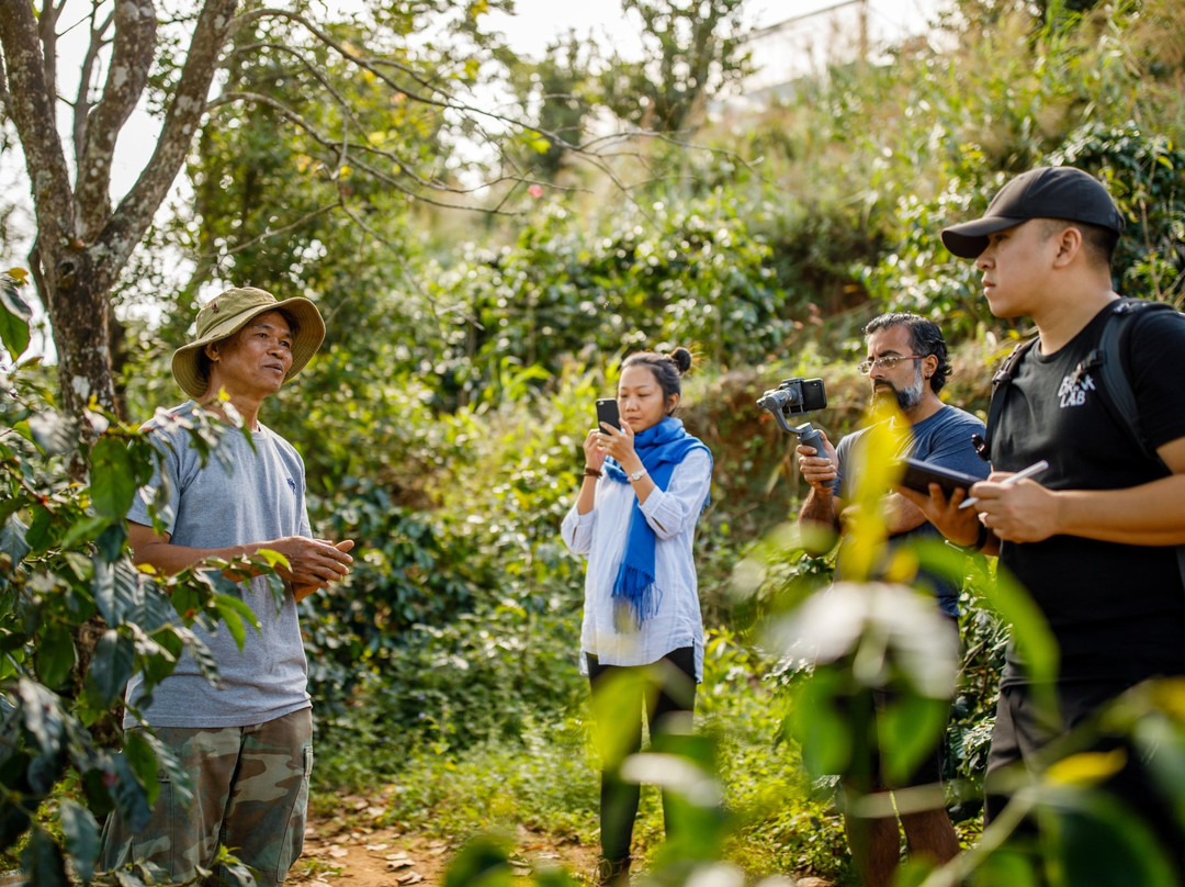 Son Pacamara Coffee Farm Experience-大勒必去景点