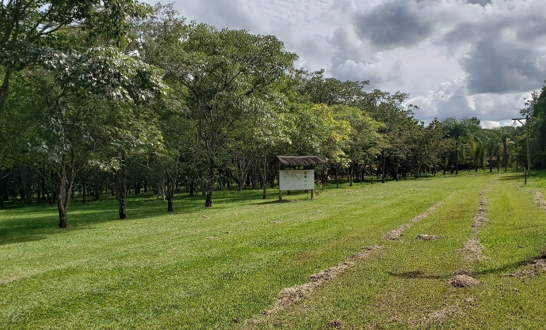 Parque Estadual Porto Ferreira-Porto Ferreira必去景点