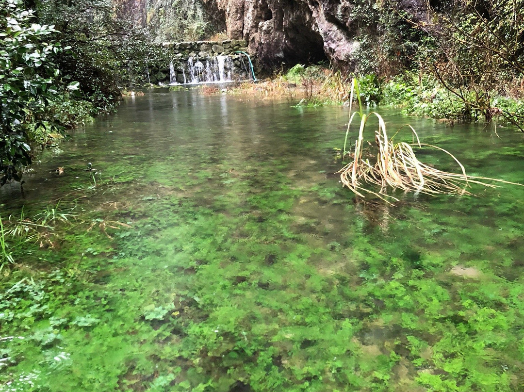 净名谷景区-乐清市必去景点