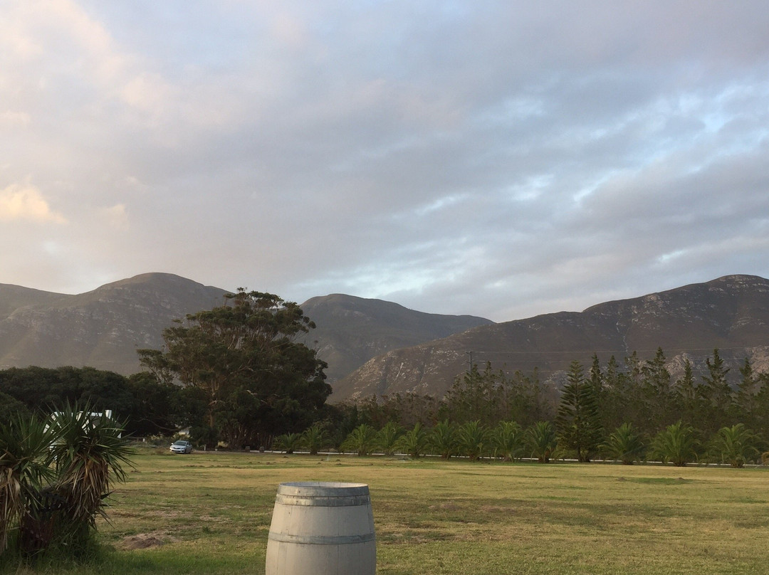 Springfontein Wine Estate主图