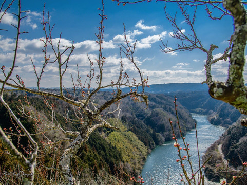 山添村旅游景点-Tsukigase Plum Valley