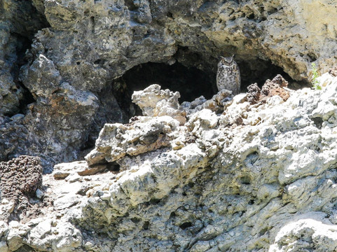 Earth & Pine Outdoor Inc.-卡尔加里必去景点