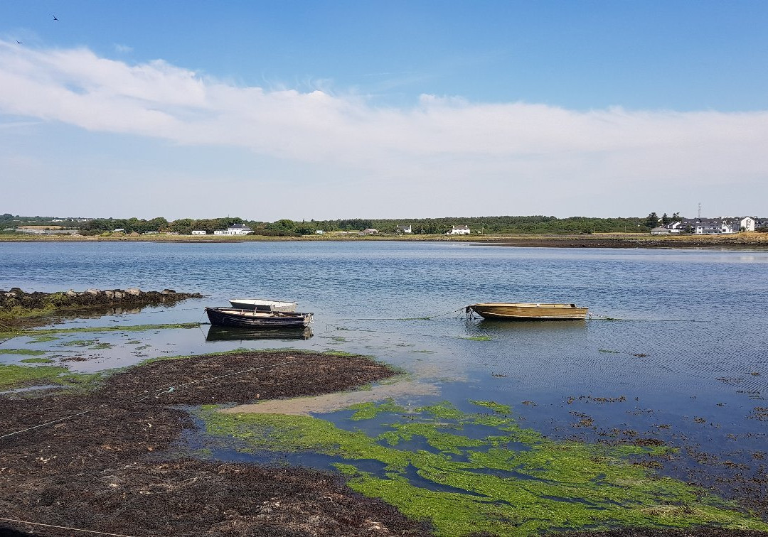 Oranmore Castle景点图片