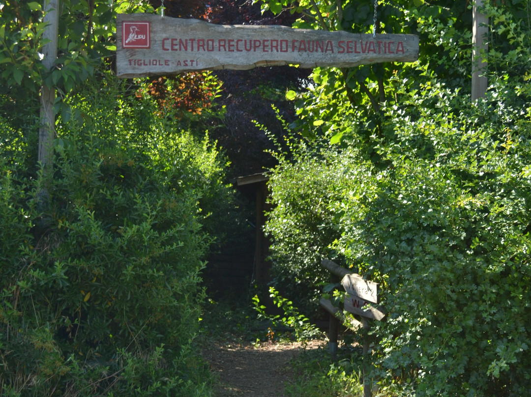 Centro Lipu-Tigliole必去景点