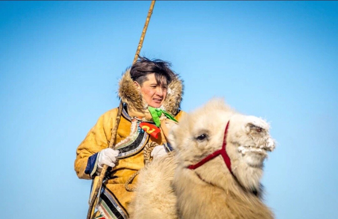 乌珠穆沁草原-西乌珠穆沁旗必去景点