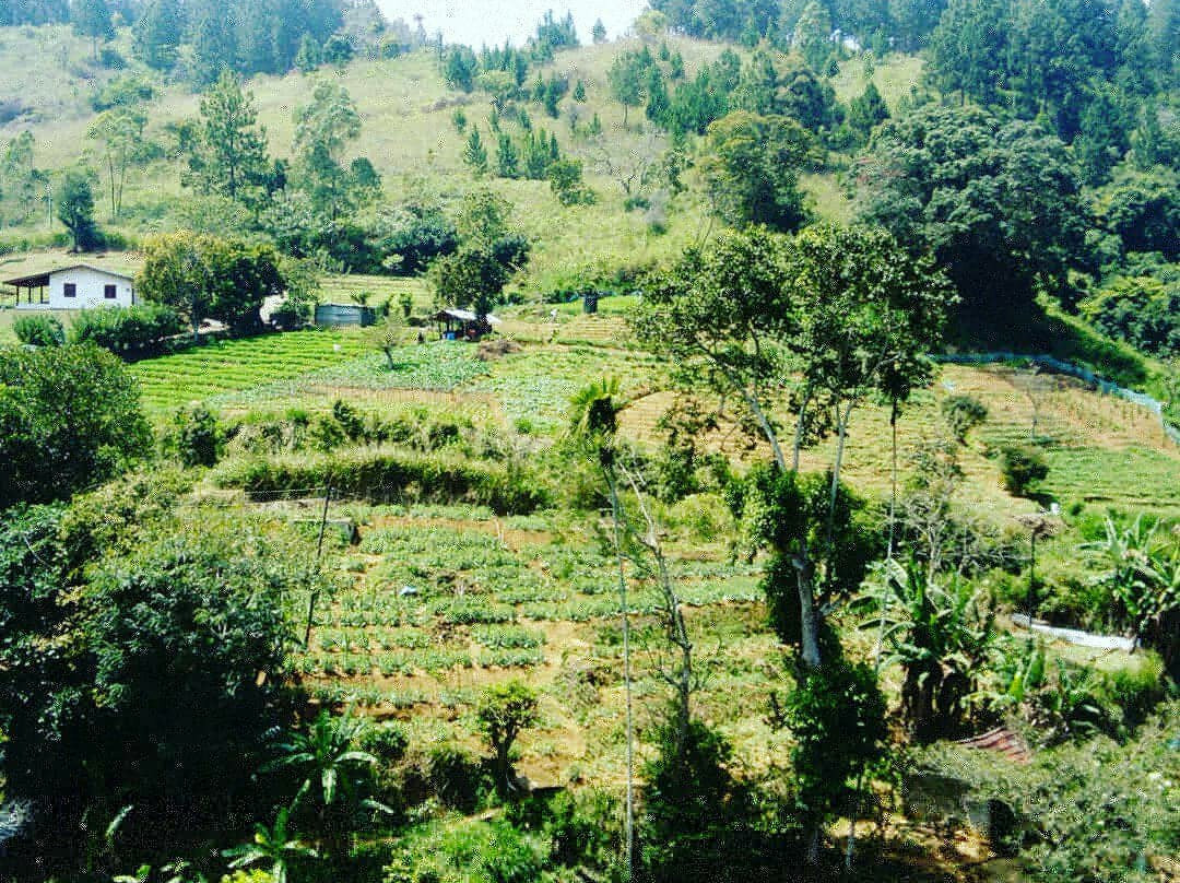 Idyll Ella Hiking-埃勒必去景点