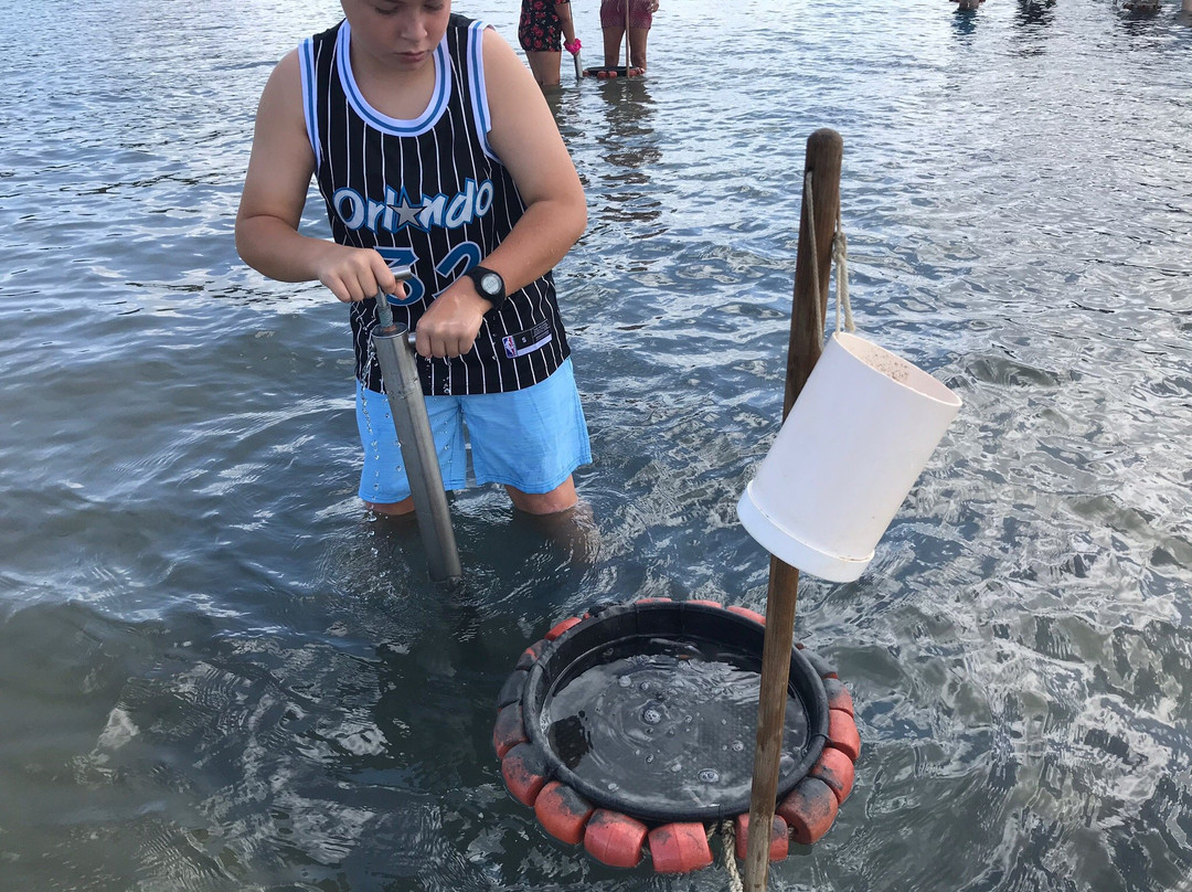 Catch a Crab-堤维德岬必去景点