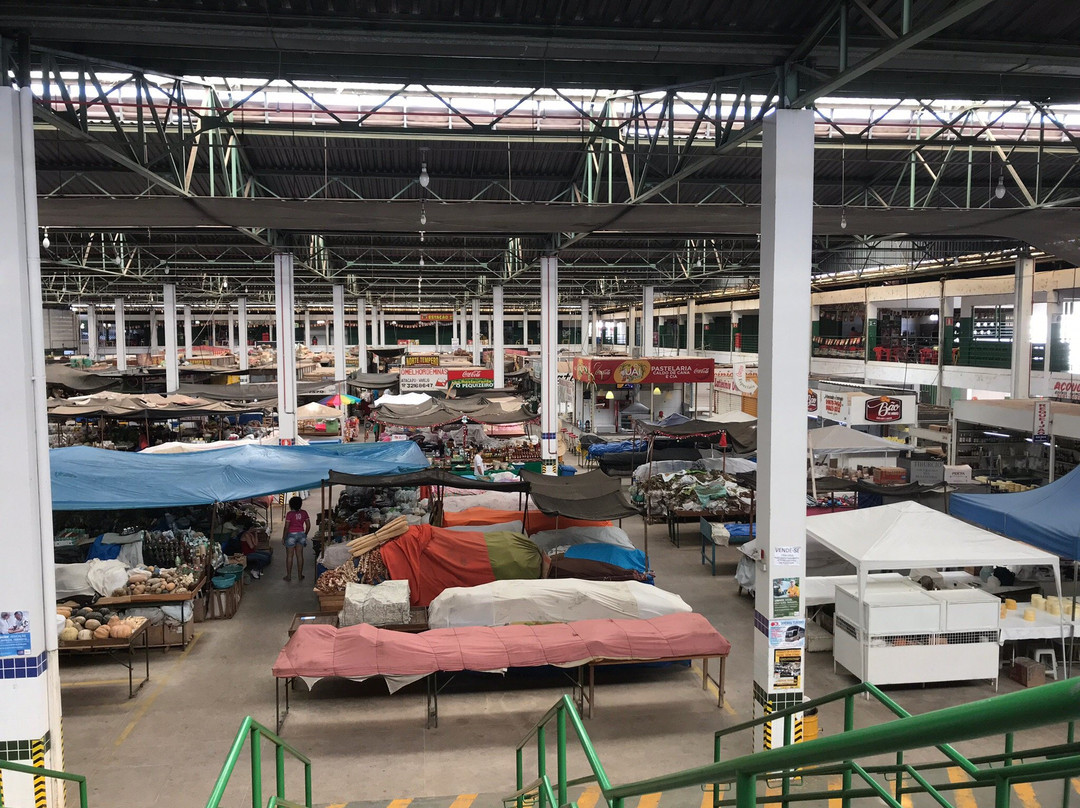 Mercado Central Christo Raeff景点图片