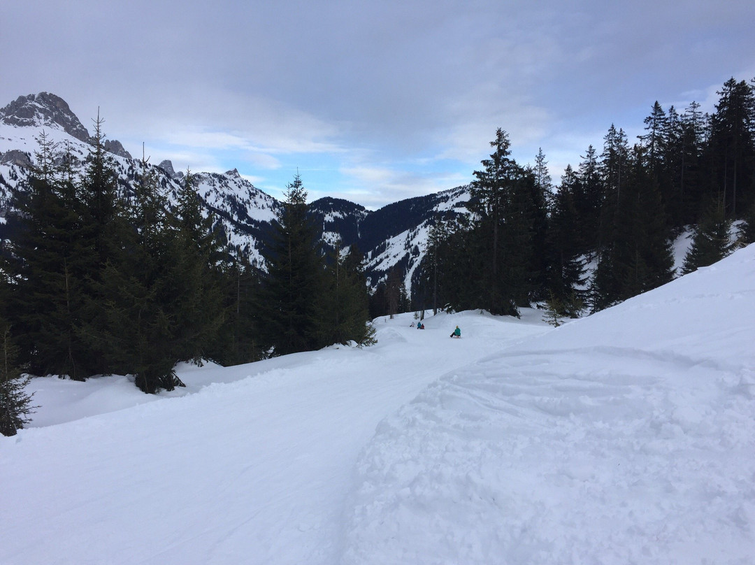 Rodelbahn Krinnenalpe景点图片